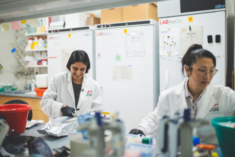 Two neuroscientists conducting RNA Sequencing Research at the Lieber Institute for Brain Development